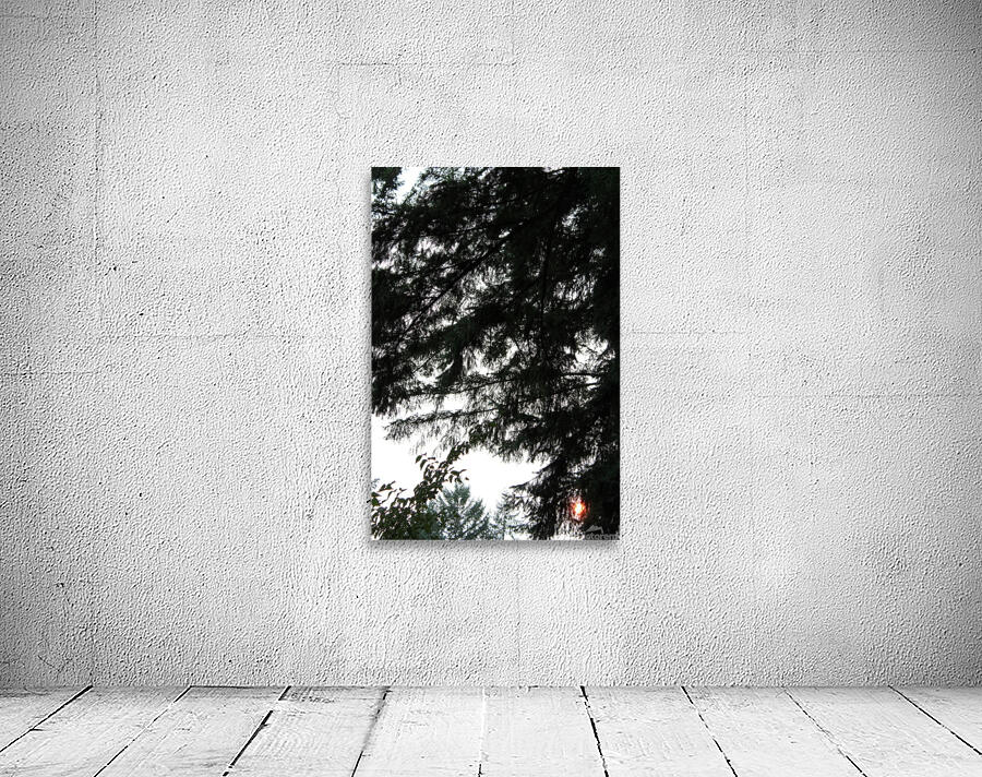 IMG 2733 Wall Preview