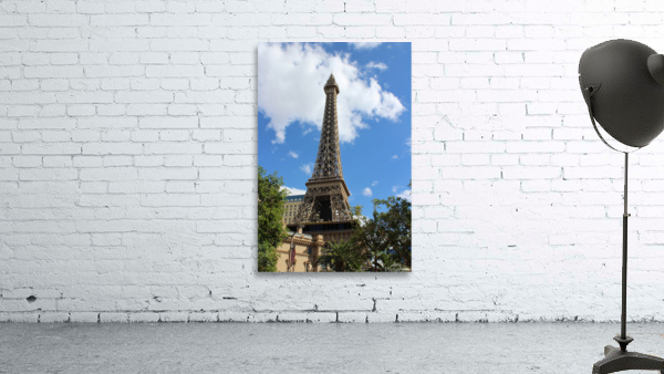 IMG 3120 Wall Preview