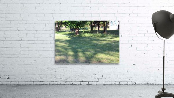 IMG 3983 Wall Preview