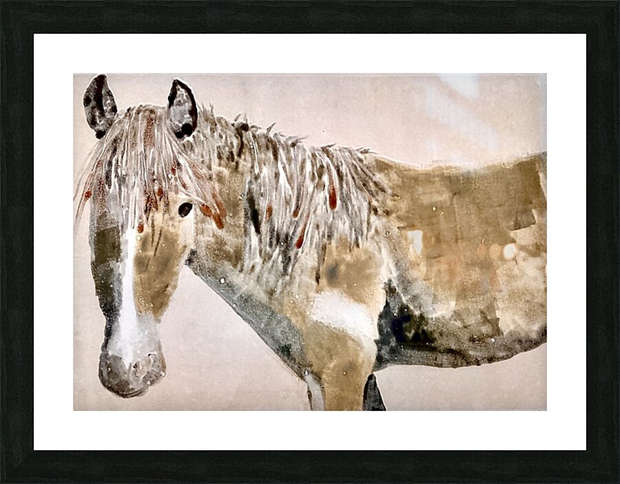 IMG 2540 Mare Picture Frame print