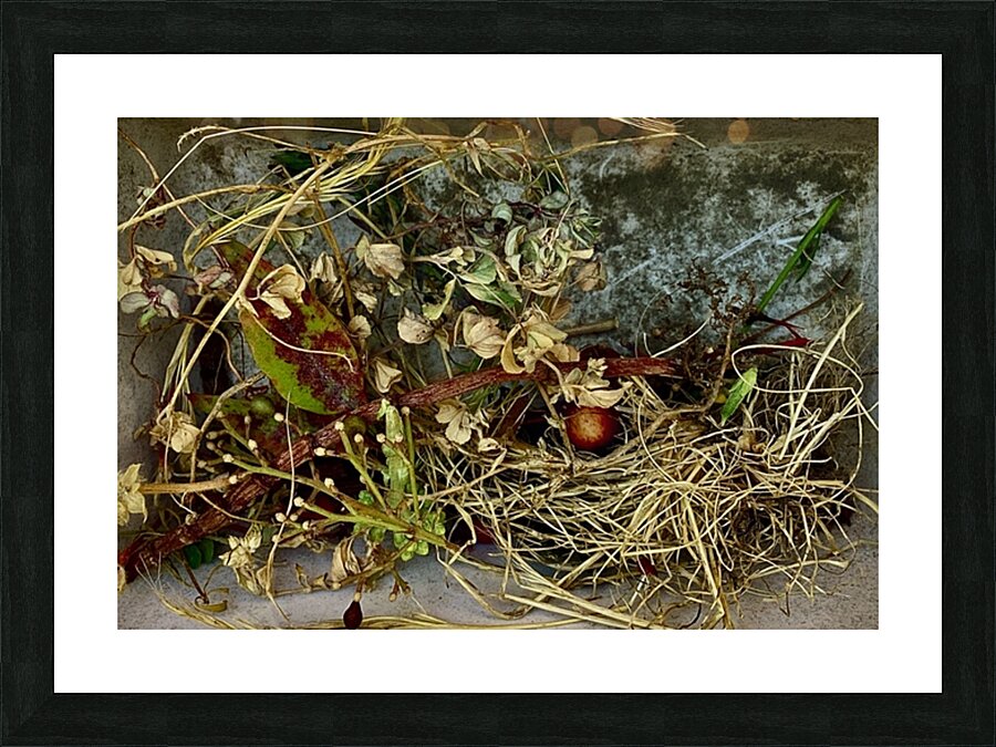 IMG 2618 September Picture Frame print
