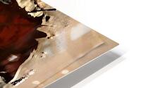 IMG 2865 HD Metal print