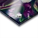 floral Acrylic print