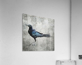 The Crow Acrylic Print