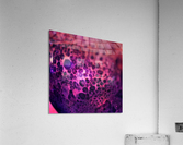 creative photography Acrylic Print