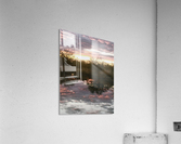 Reflection Acrylic Print