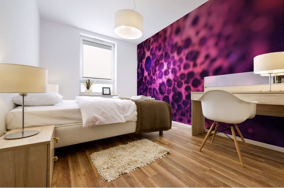 creative photography Mural print