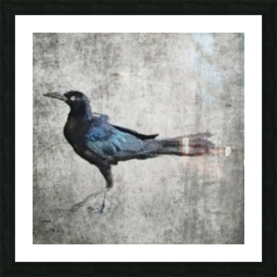 The Crow Picture Frame print