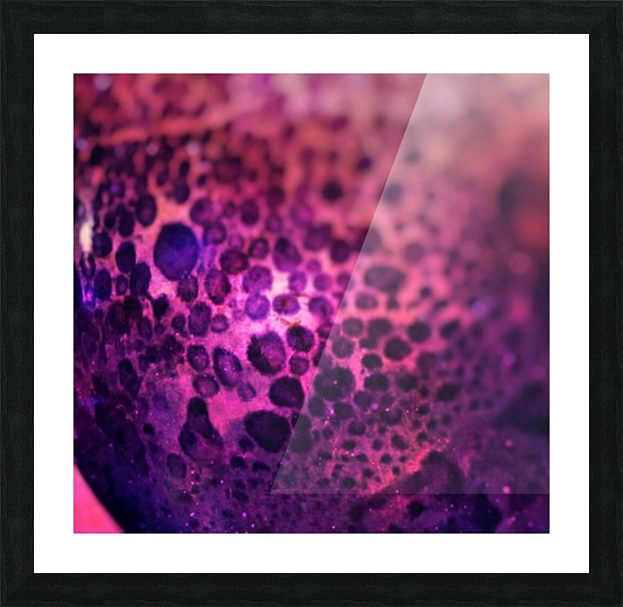 creative photography Picture Frame print
