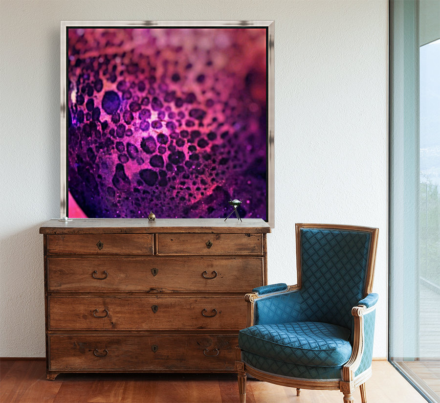 creative photography Reproduction