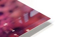 creative photography HD Metal print