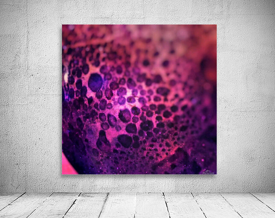 creative photography Wall Preview