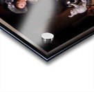 Le Chat Angora by Jean-Honore Fragonard and Marguerite Gerard Acrylic print