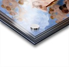 The Birth Of Venus by William-Adolphe Bouguereau Old Masters Fine Art Reproduction Acrylic print