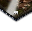 Nymphs and Satyr by William-Adolphe Bouguereau Old Masters Reproduction Acrylic print