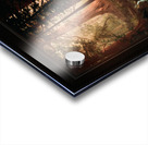 Giant Redwood Trees of California by Albert Bierstadt Remastered Xzendor7 Classical Fine Art Old Masters Reproductions Impression Acrylique