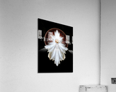 Angel Wings Snowflake Merry Christmas TW Fractal Art Acrylic Print