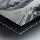 Queen Una Noothela Captivating AI Concept Art by Xzendor7 Metal print