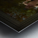 Nymphs and Satyr by William-Adolphe Bouguereau Old Masters Reproduction Metal print