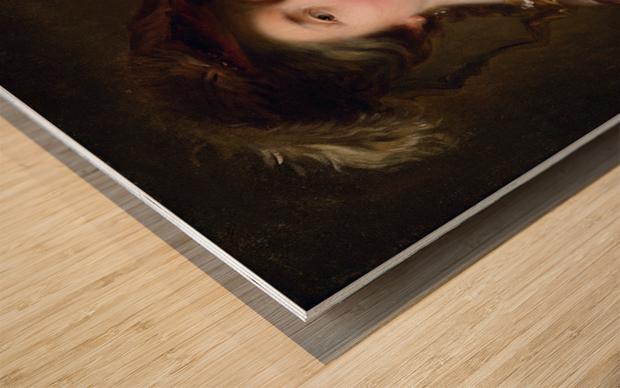 Portrait of a Lady by Alexis Grimou Wood print