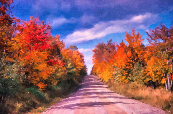 fall road Digital Download