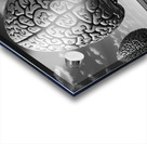 Brain Stem Park Final Acrylic print