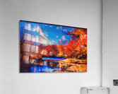 Fall Fire Stream Acrylic Print
