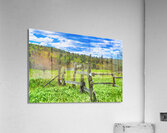 fence paint Acrylic Print