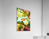 Trillium one Acrylic Print