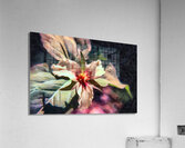 Trillium two Acrylic Print