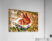 Teacup bunny Acrylic Print