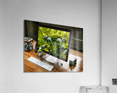 Two Finger Timmy Final Acrylic Print