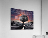 Spinal Stream final Acrylic Print