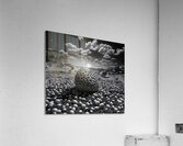 Egghead Final Acrylic Print