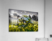 Tuttle Turtle Final Acrylic Print