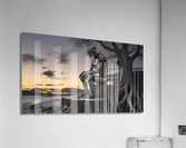 Robo sunset Final Acrylic Print