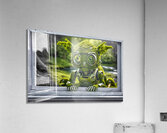 Mossy Robby Final Acrylic Print