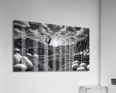 Eggtastic Final Acrylic Print
