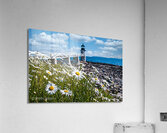 Coastal 25 Acrylic Print