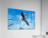 Coastal 19 Acrylic Print
