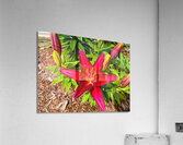 Flowers016 Acrylic Print