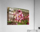 Flowers021 Acrylic Print