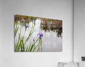 Flowers030 Acrylic Print