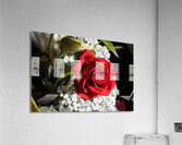 Flowers014 Acrylic Print