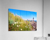 Coastal 052 Acrylic Print