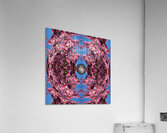 Mandala 005 Acrylic Print