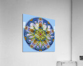 Mandala 015 Acrylic Print