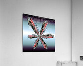 One Car 011 Acrylic Print