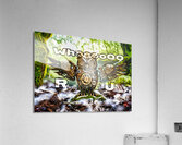 Mech Owl 1 Acrylic Print