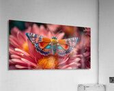 Pink Mum Moth Acrylic Print